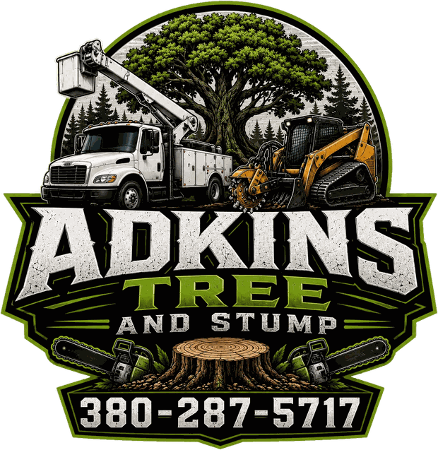 Adkins Tree and Stump