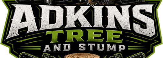 Adkins Tree and Stump